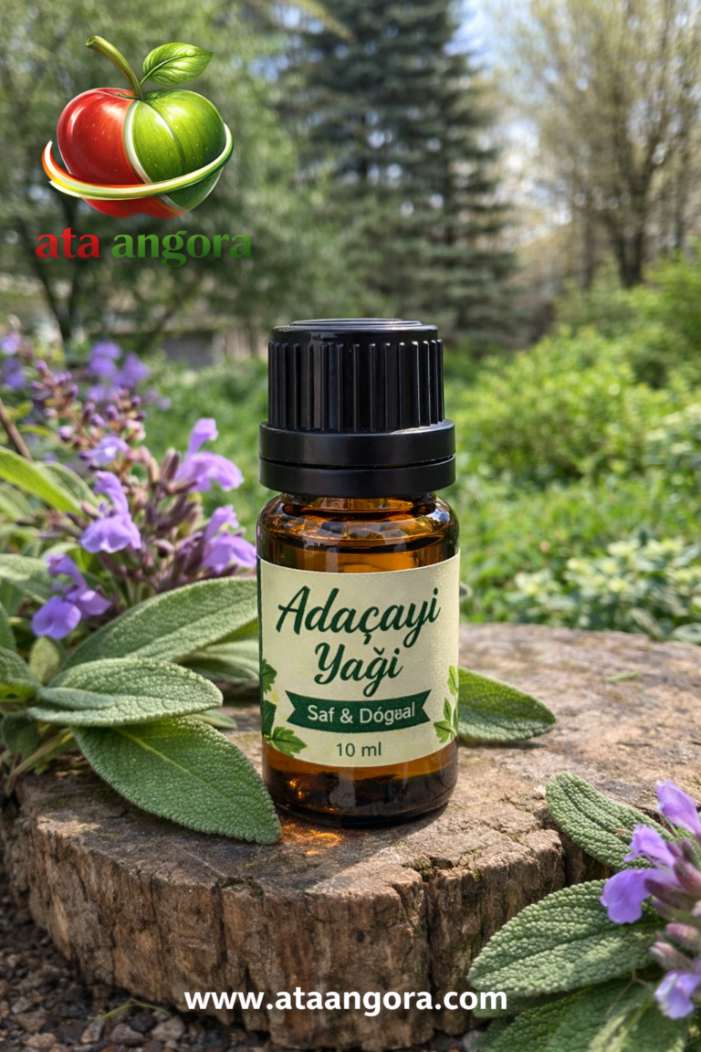 Adaçayı Yağı