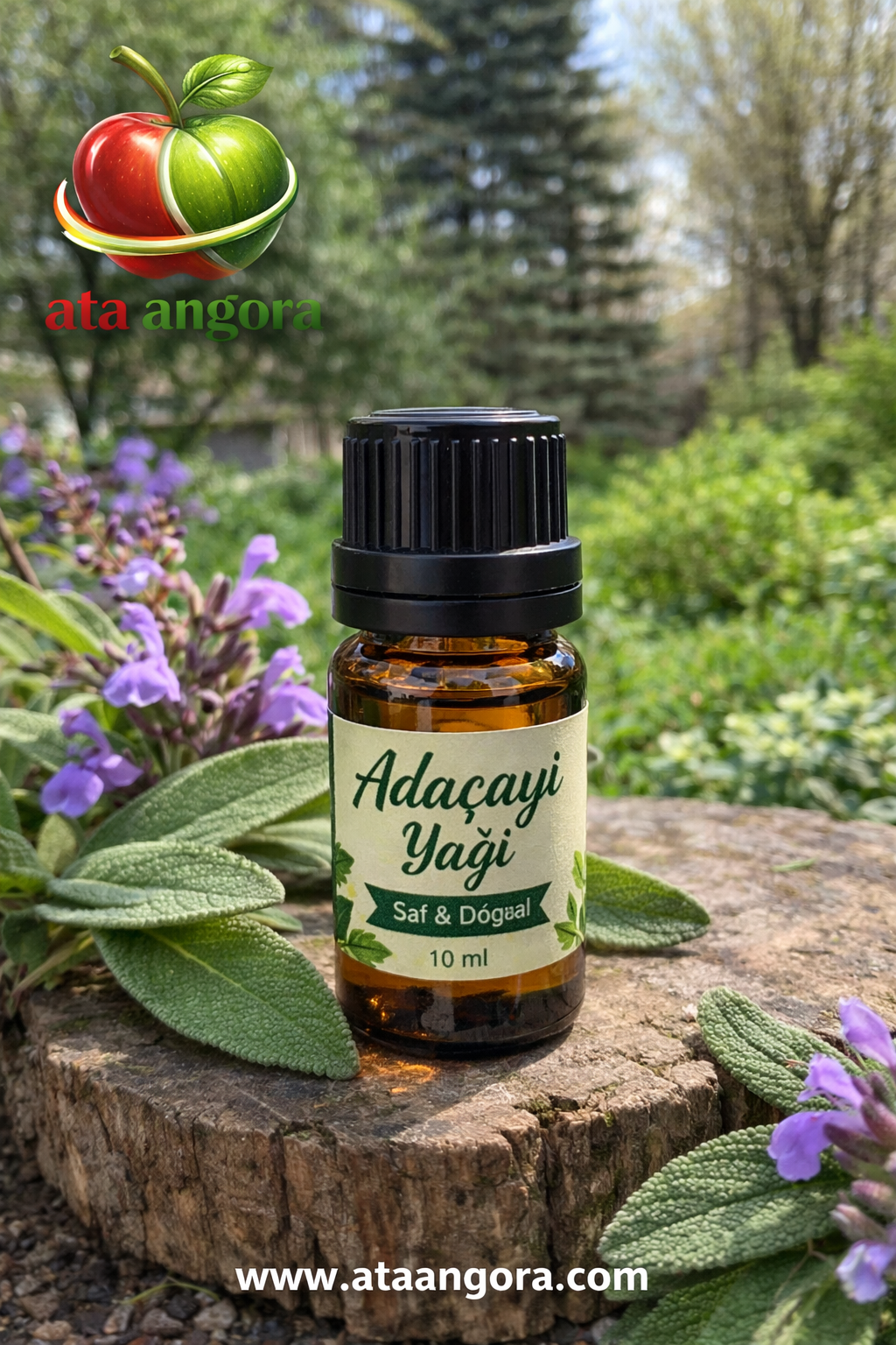 Adaçayı Yağı