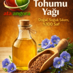 ChatGPT Image 6 Mar 2026 17_23_24