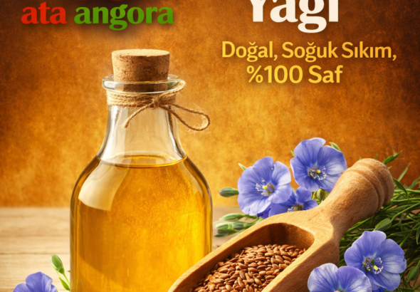 ChatGPT Image 6 Mar 2026 17_23_24