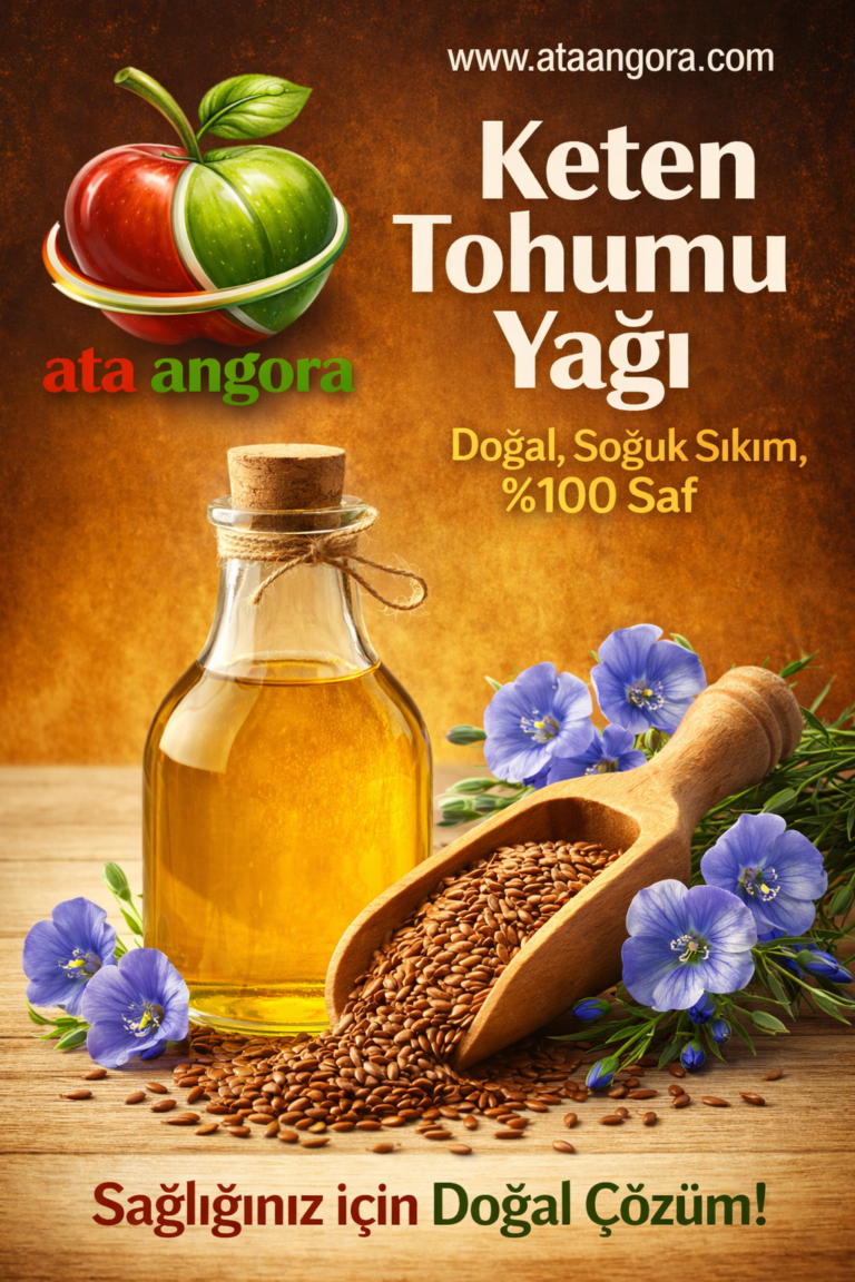 ChatGPT Image 6 Mar 2026 17_23_24