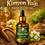 ChatGPT Image 6 Mar 2026 17_39_47