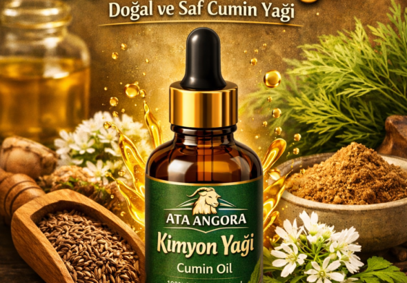 ChatGPT Image 6 Mar 2026 17_39_47