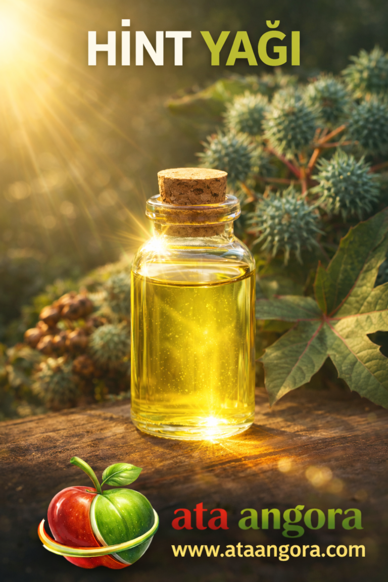 Hint Yağı