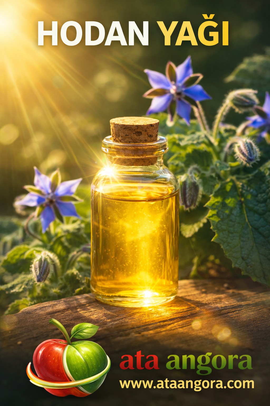 Hodan Yağı