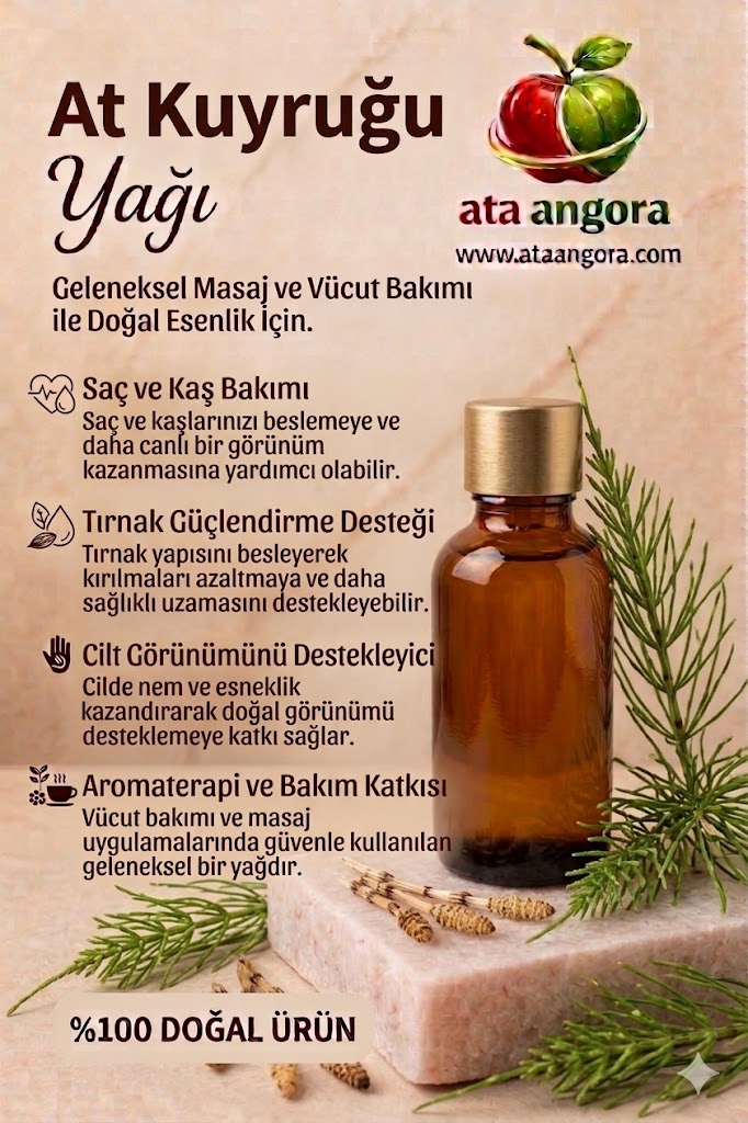 Premium At Kuyruğu Yağı (Equisetum Arvense)